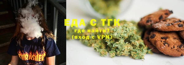 индика Козельск