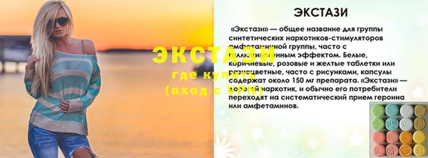 индика Козельск