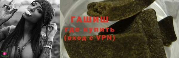 индика Козельск