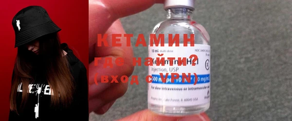 индика Козельск