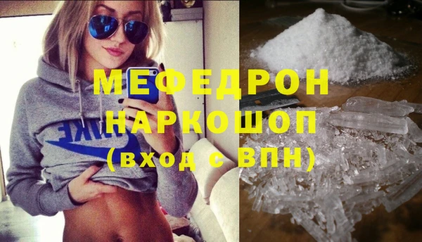 индика Козельск