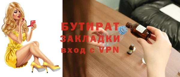 индика Козельск