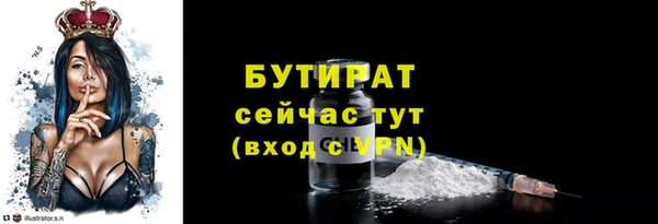 индика Козельск