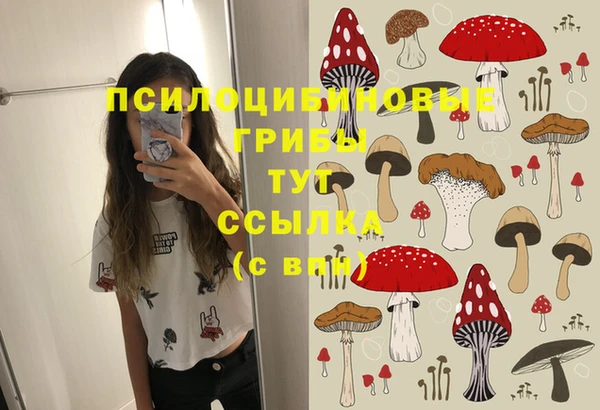 амф Козловка