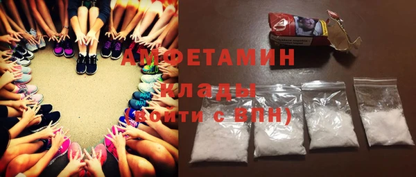 индика Козельск