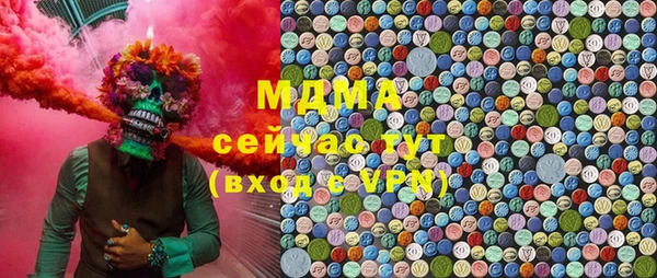 индика Козельск