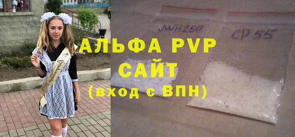 индика Козельск