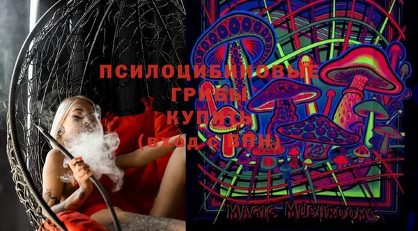 индика Козельск