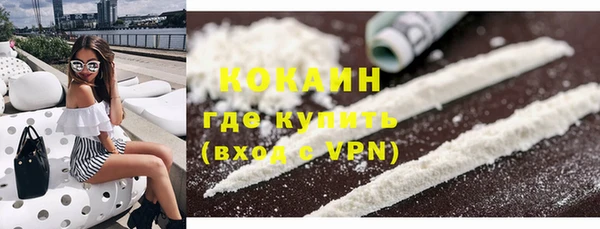 амф Козловка