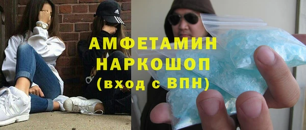 индика Козельск