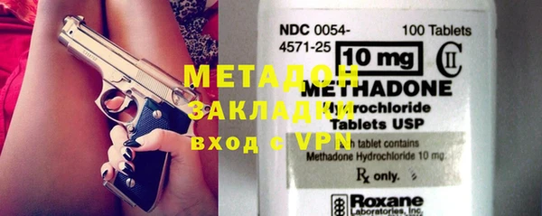 индика Козельск
