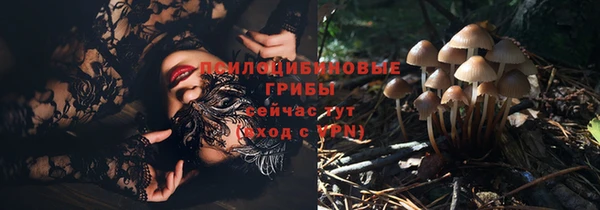 индика Козельск
