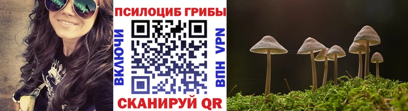 Псилоцибиновые грибы ЛСД  Клинцы 